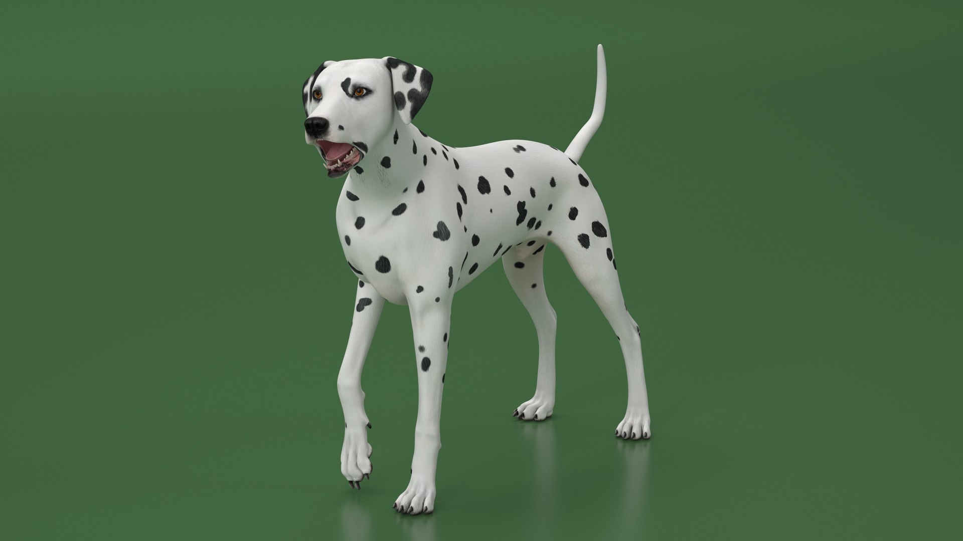 Dalmatian Dog Rigged 3D https://p.turbosquid.com/ts-thumb/mf/ybLYcX/uX/dalmatiandogrigged3dmodel012/jpg/1716126041/1920x1080/fit_q87/5a3d44843628a53fa64057035598bc5b87ab44e9/dalmatiandogrigged3dmodel012.jpg