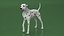 Dalmatian Dog Rigged