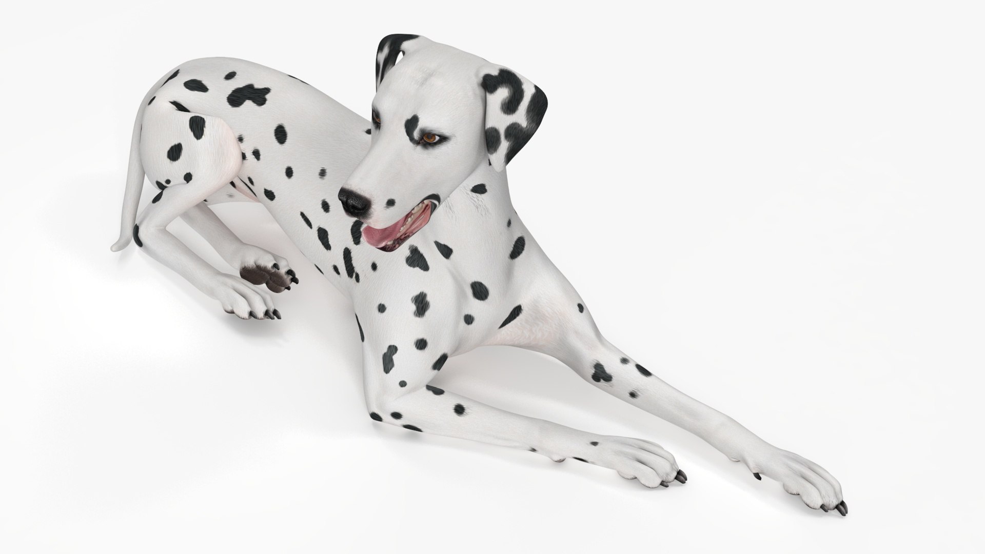 Dalmatian Dog Rigged 3D https://p.turbosquid.com/ts-thumb/mf/ybLYcX/wC/dalmatiandogrigged3dmodel027/jpg/1716126090/1920x1080/fit_q87/5cd15ebe72fc960a5d3e6cec3e6ecc2228d8e742/dalmatiandogrigged3dmodel027.jpg