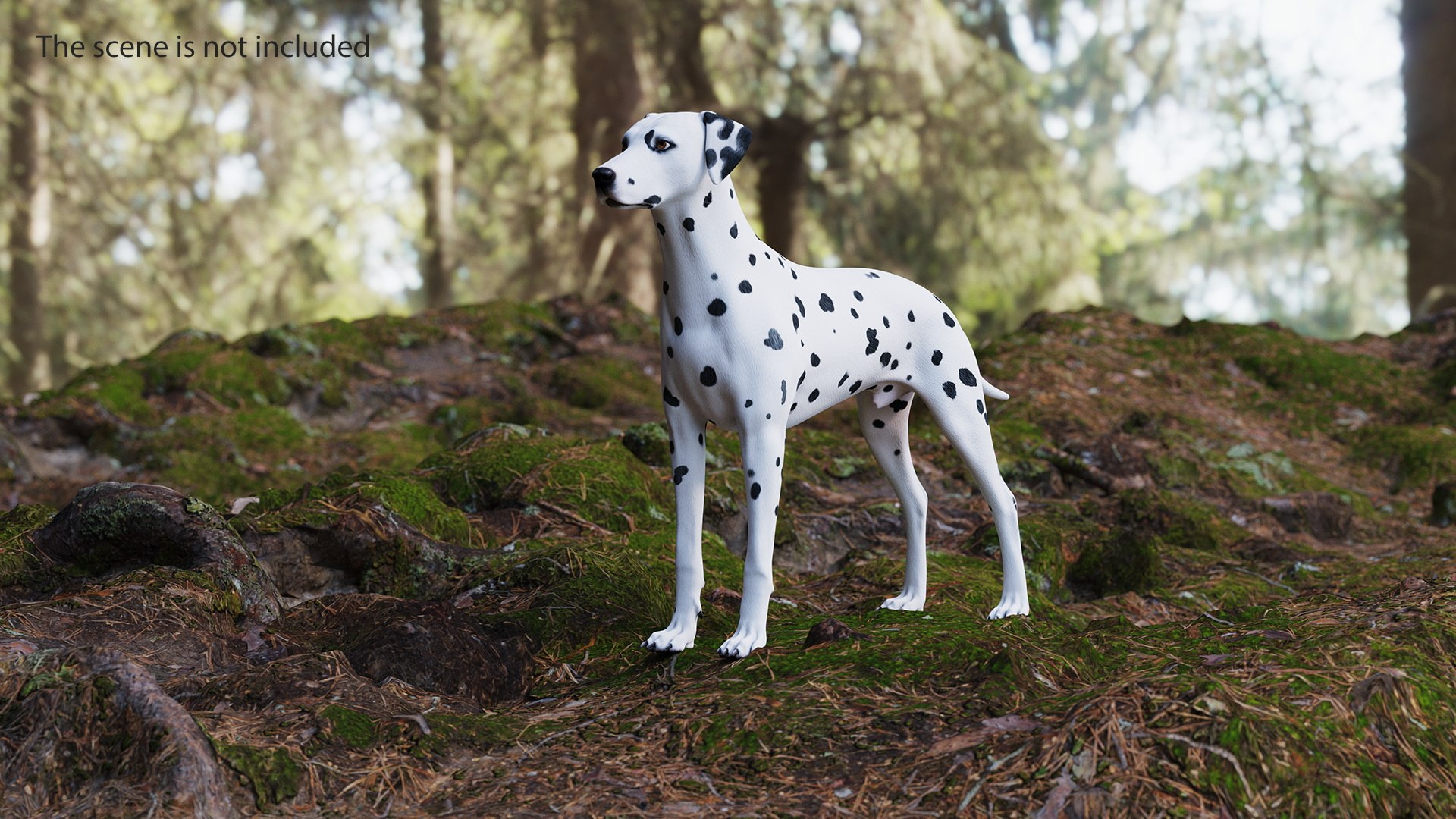 Dalmatian Dog Rigged 3D https://p.turbosquid.com/ts-thumb/mf/ybLYcX/zr/dalmatiandogrigged3dmodel008/jpg/1716126033/1920x1080/fit_q87/49a6aefa5d27e0dbc4f4e762cd4bf7f47c371322/dalmatiandogrigged3dmodel008.jpg