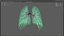 Human lungs unrolling growing animation