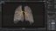 Human lungs unrolling growing animation