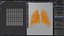 Human lungs unrolling growing animation