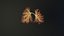 Human lungs unrolling growing animation