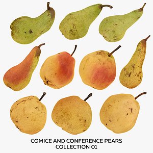 Comice and Conference Pears Collection 01 - 10 models RAW Scans 3D model
