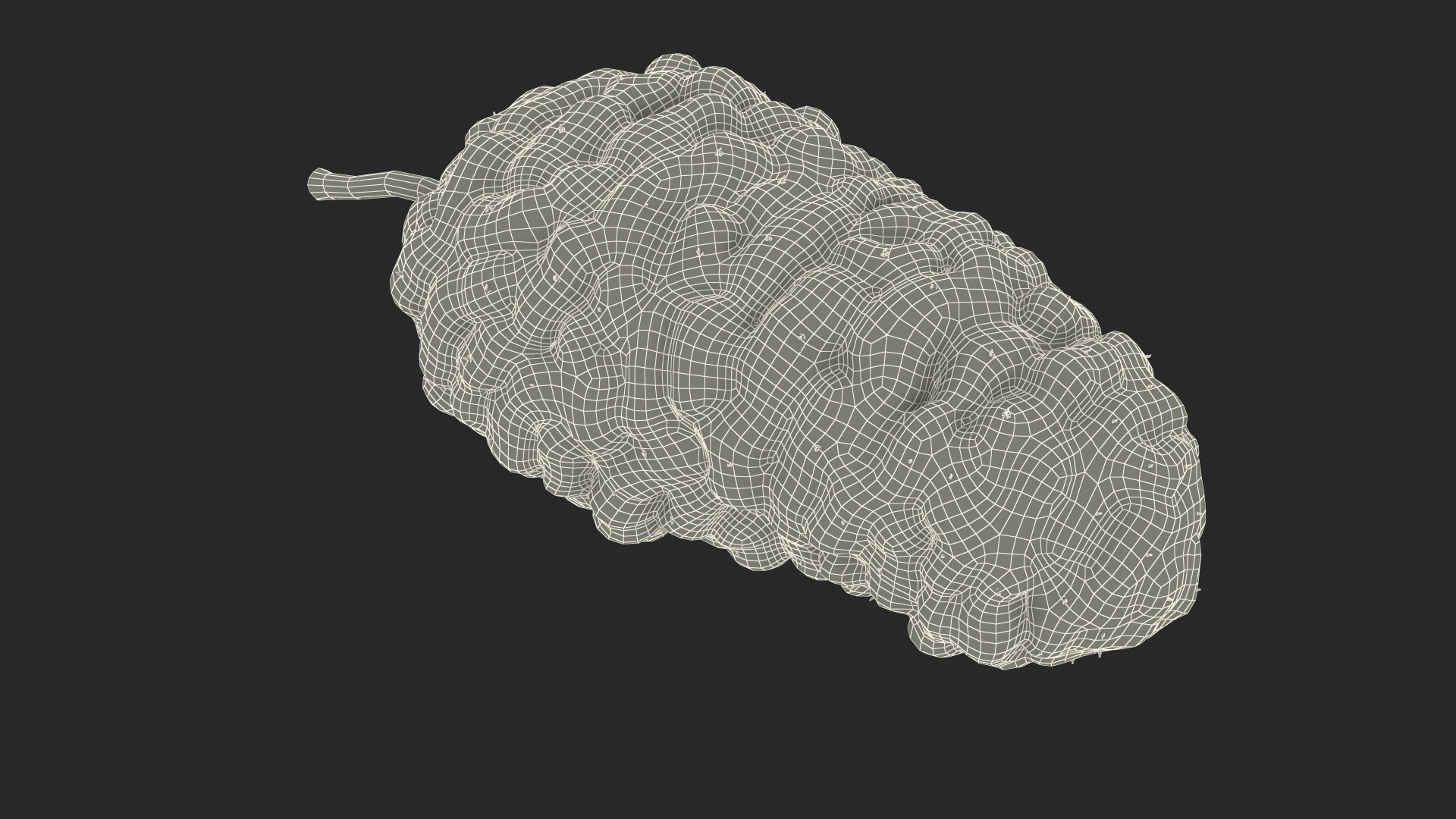 3D Berries Collection 3 https://p.turbosquid.com/ts-thumb/mg/4IVH5X/28/mulberry_fruit_black_361/jpg/1670768273/1920x1080/turn_fit_q99/48c5c8fc0943637ac9b7f3b1bb5b6ade877570d1/mulberry_fruit_black_361-1.jpg