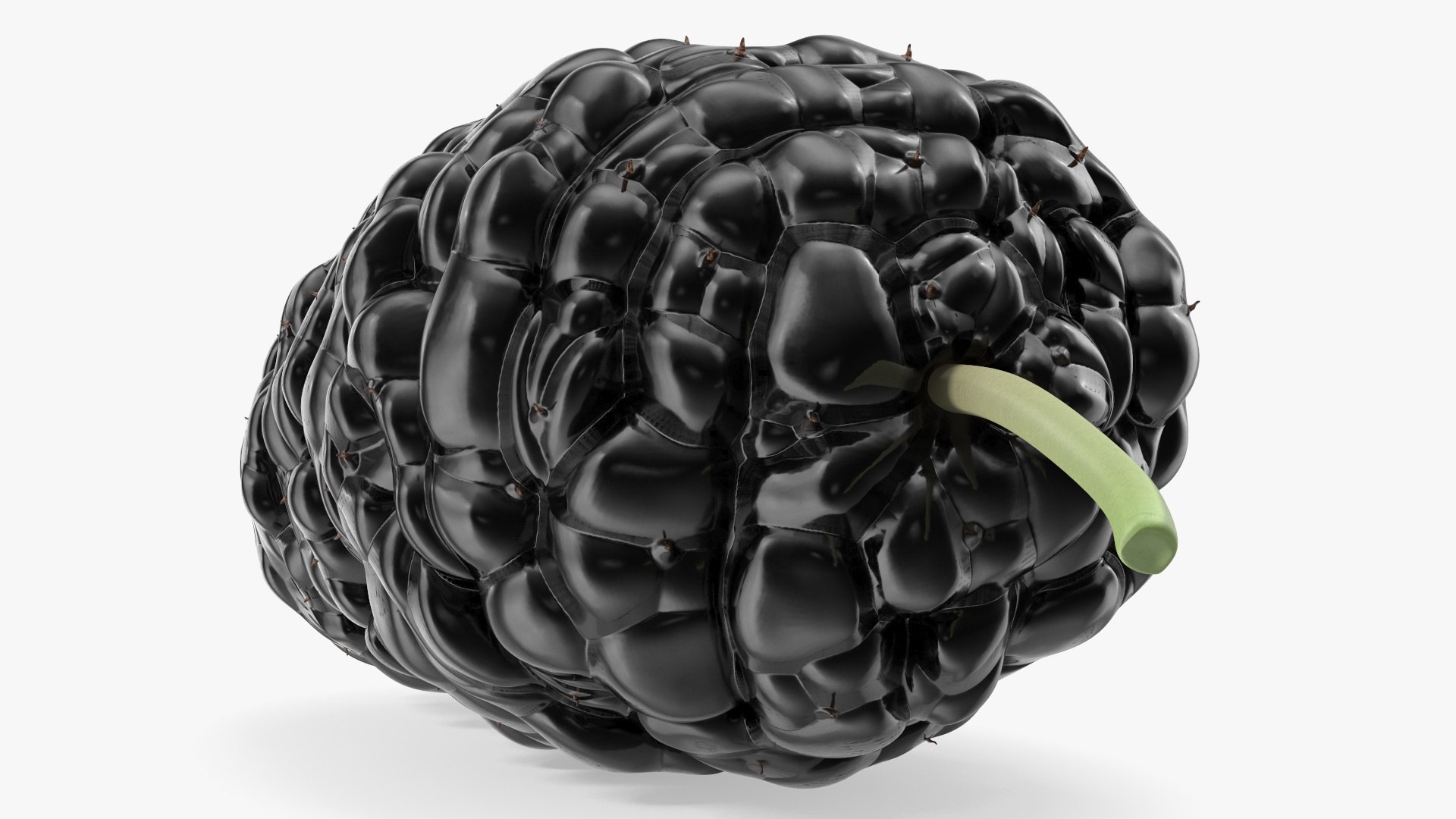 3D Berries Collection 3 https://p.turbosquid.com/ts-thumb/mg/4IVH5X/HX/berriescollection3vray3dmodel023/jpg/1670767382/1920x1080/fit_q87/743c71a550f8bccf7a53d7812216c1177c056965/berriescollection3vray3dmodel023.jpg