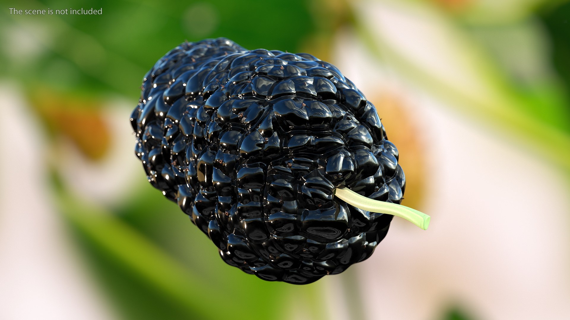 3D Berries Collection 3 https://p.turbosquid.com/ts-thumb/mg/4IVH5X/Wx/berriescollection3vray3dmodel016/jpg/1670767359/1920x1080/fit_q87/98e750c5f8e42f1e9a74a1455ab55ab7c2a5b243/berriescollection3vray3dmodel016.jpg