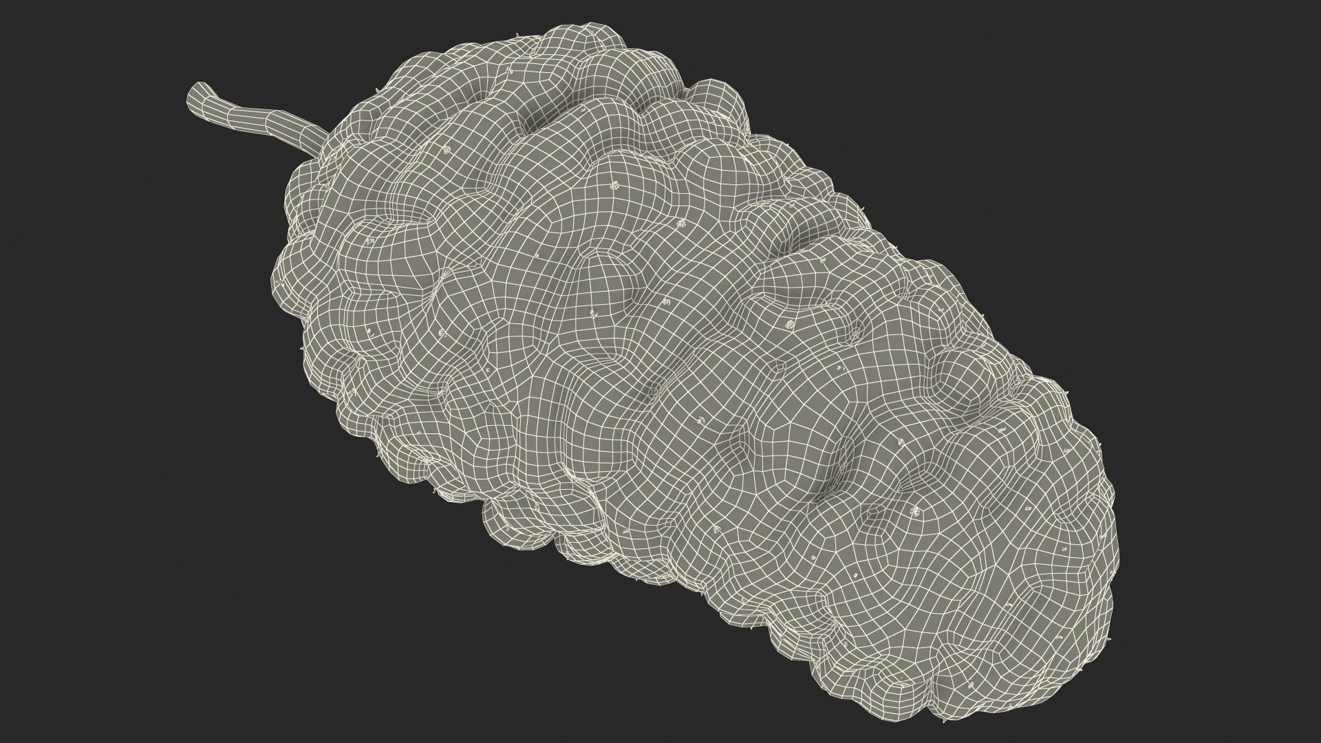 3D Berries Collection 3 https://p.turbosquid.com/ts-thumb/mg/4IVH5X/bf/berriescollection3vray3dmodel055/jpg/1670767500/1920x1080/fit_q87/6dbff65c7c28a470e49ae93af3344fe5f87a0469/berriescollection3vray3dmodel055.jpg