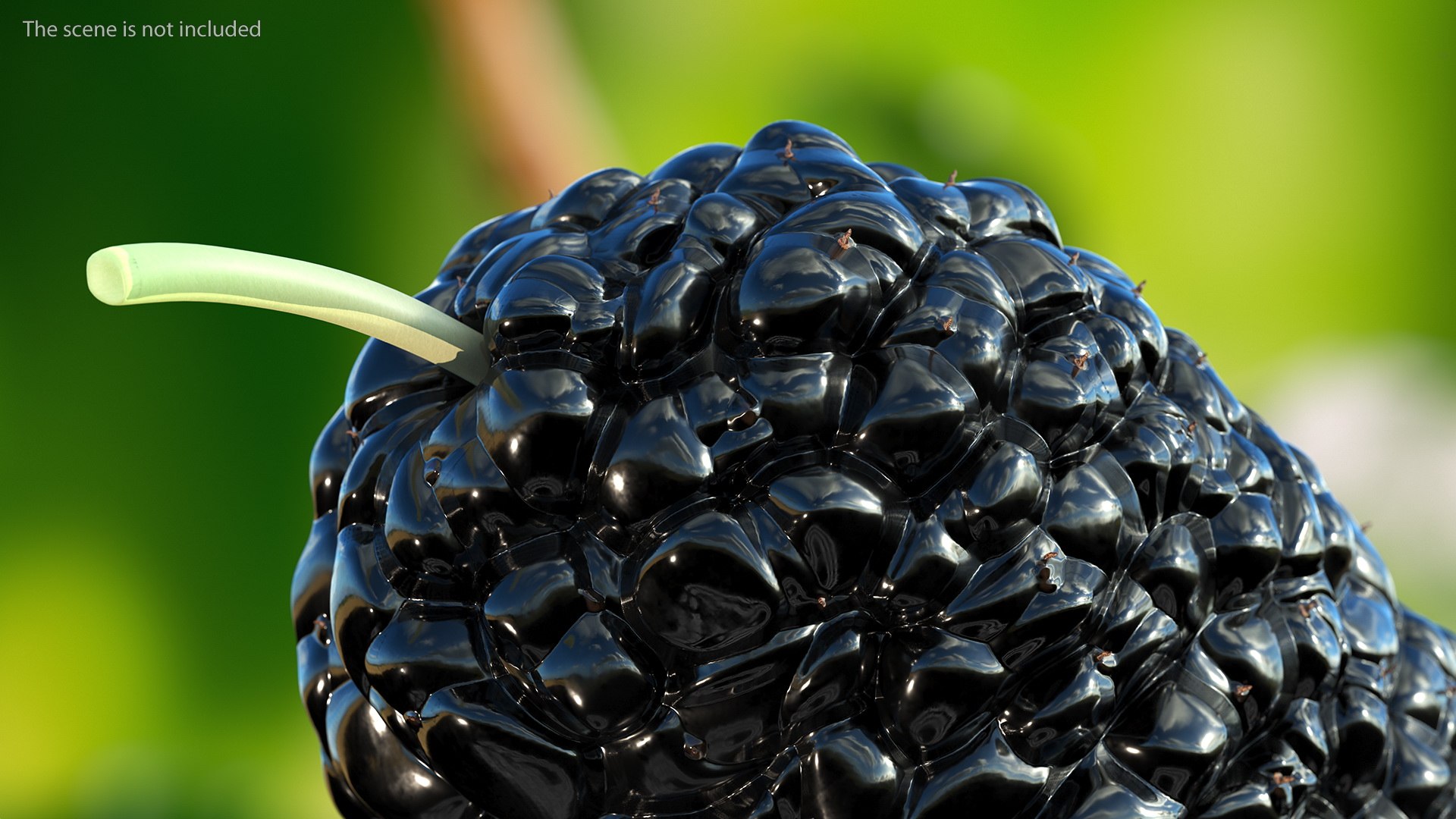 3D Berries Collection 3 https://p.turbosquid.com/ts-thumb/mg/4IVH5X/ia/berriescollection3vray3dmodel017/jpg/1670767362/1920x1080/fit_q87/b313f591b64c6b96d6537f5a6ee2586e7e05d87f/berriescollection3vray3dmodel017.jpg