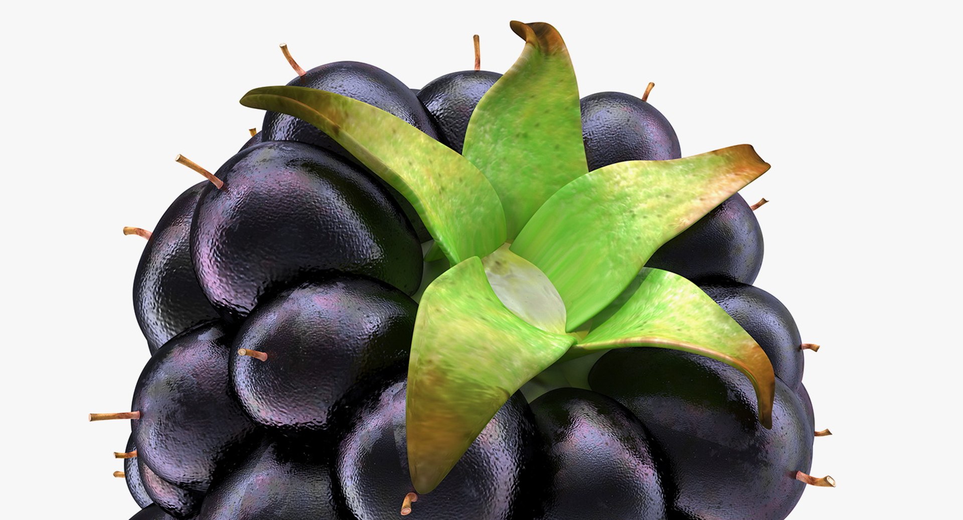 3D Berries Collection 3 https://p.turbosquid.com/ts-thumb/mg/4IVH5X/mF/berriescollection3vray3dmodel031/jpg/1670767407/1920x1080/fit_q87/f1cb0dedeff80de1f8daa452cafc8d9851e3029a/berriescollection3vray3dmodel031.jpg