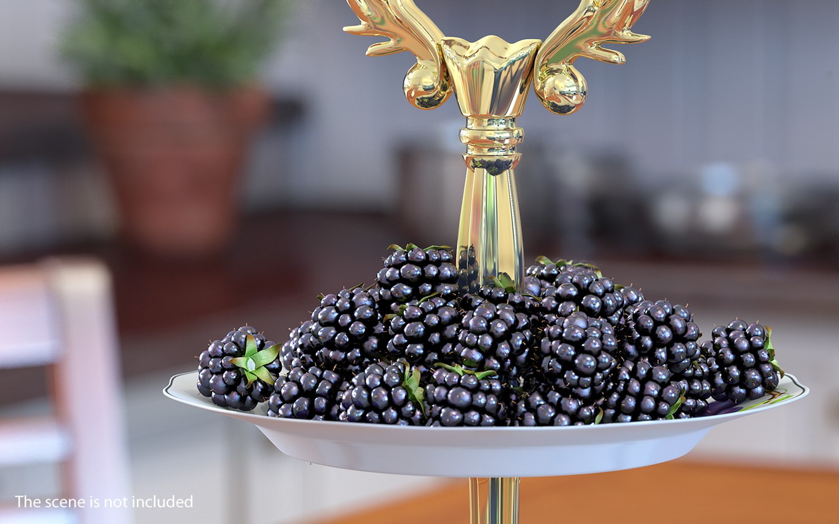 3D Berries Collection 3 https://p.turbosquid.com/ts-thumb/mg/4IVH5X/sq/berriescollection3vray3dmodel027/jpg/1670767395/1920x1080/fit_q87/2611d92ddd9e07cfd1509a2c057b7cd86868163a/berriescollection3vray3dmodel027.jpg