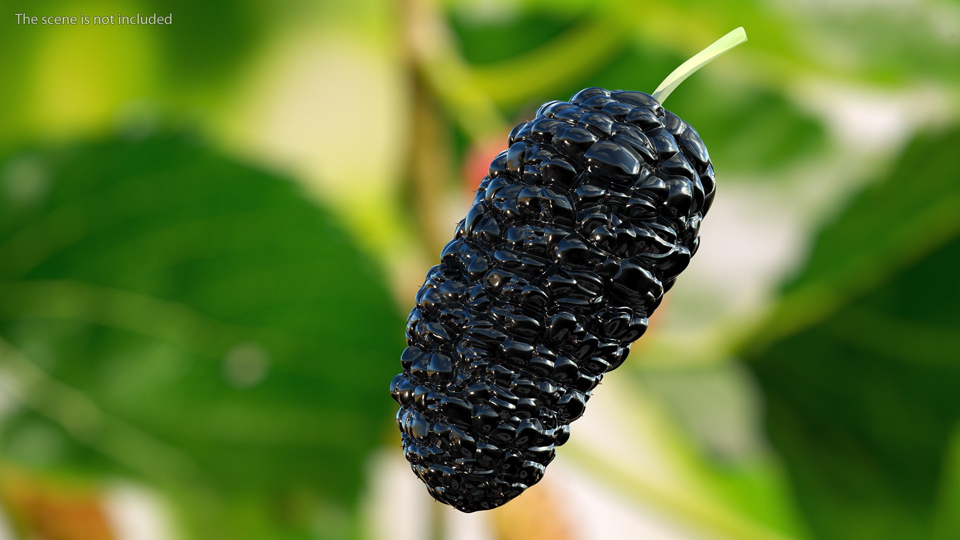 3D Berries Collection 3 https://p.turbosquid.com/ts-thumb/mg/4IVH5X/ze/berriescollection3vray3dmodel015/jpg/1670767355/1920x1080/fit_q87/2548fc5ce70edb46e93ad98eda7612ccae77494c/berriescollection3vray3dmodel015.jpg