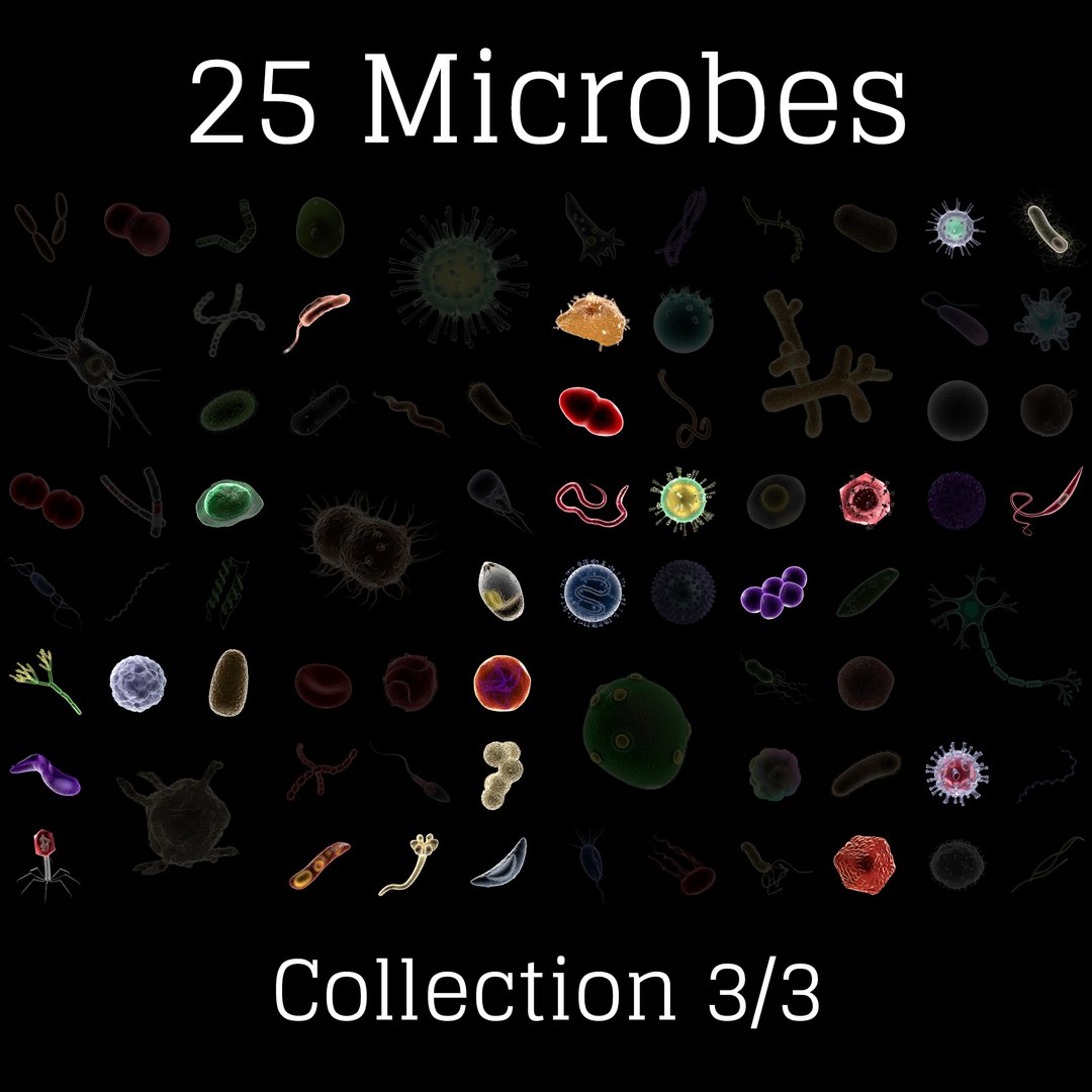 3D microbes micro bacteria cells https://p.turbosquid.com/ts-thumb/mg/9YeCU5/0YnxQ4kf/25_collection_3/jpg/1601043232/1920x1080/fit_q87/cfe8f682e600db308bd3d44f1833d5ff6c074ad6/25_collection_3.jpg