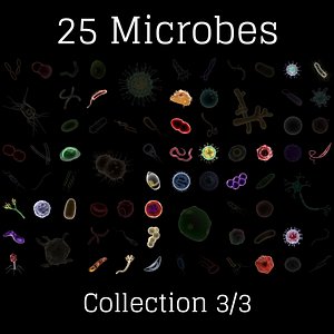 3D microbes micro bacteria cells