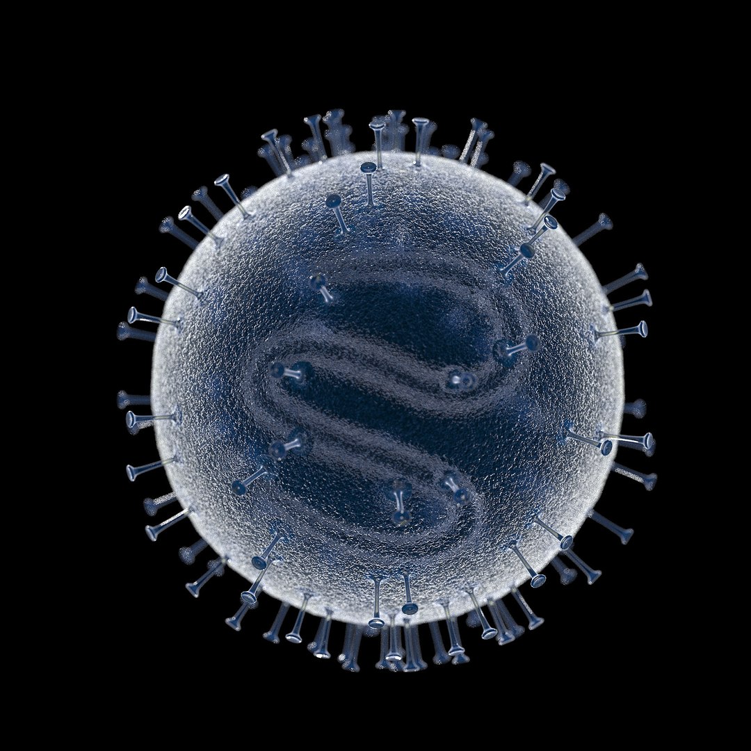 3D microbes micro bacteria cells https://p.turbosquid.com/ts-thumb/mg/9YeCU5/O6sgsNgl/measlesmorbillivirus_02/jpg/1601715789/1920x1080/fit_q87/bfd1d565a580ebfe93daed6cfd559ca72444eda5/measlesmorbillivirus_02.jpg