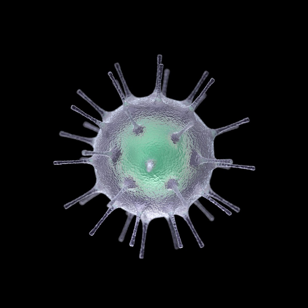 3D Microbes Micro Bacteria Cells - TurboSquid 1626082