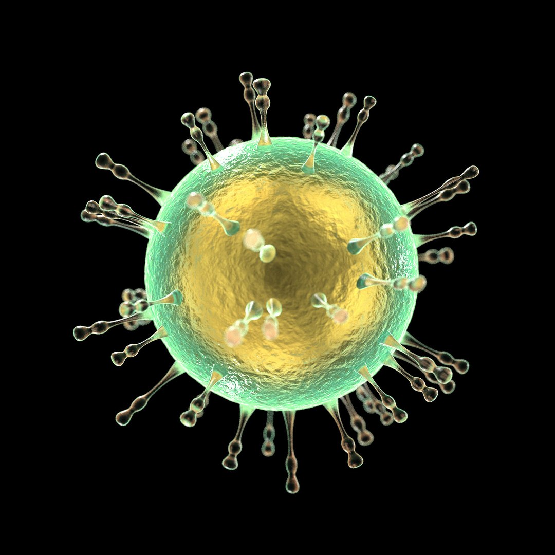 3D Microbes Micro Bacteria Cells - TurboSquid 1626082