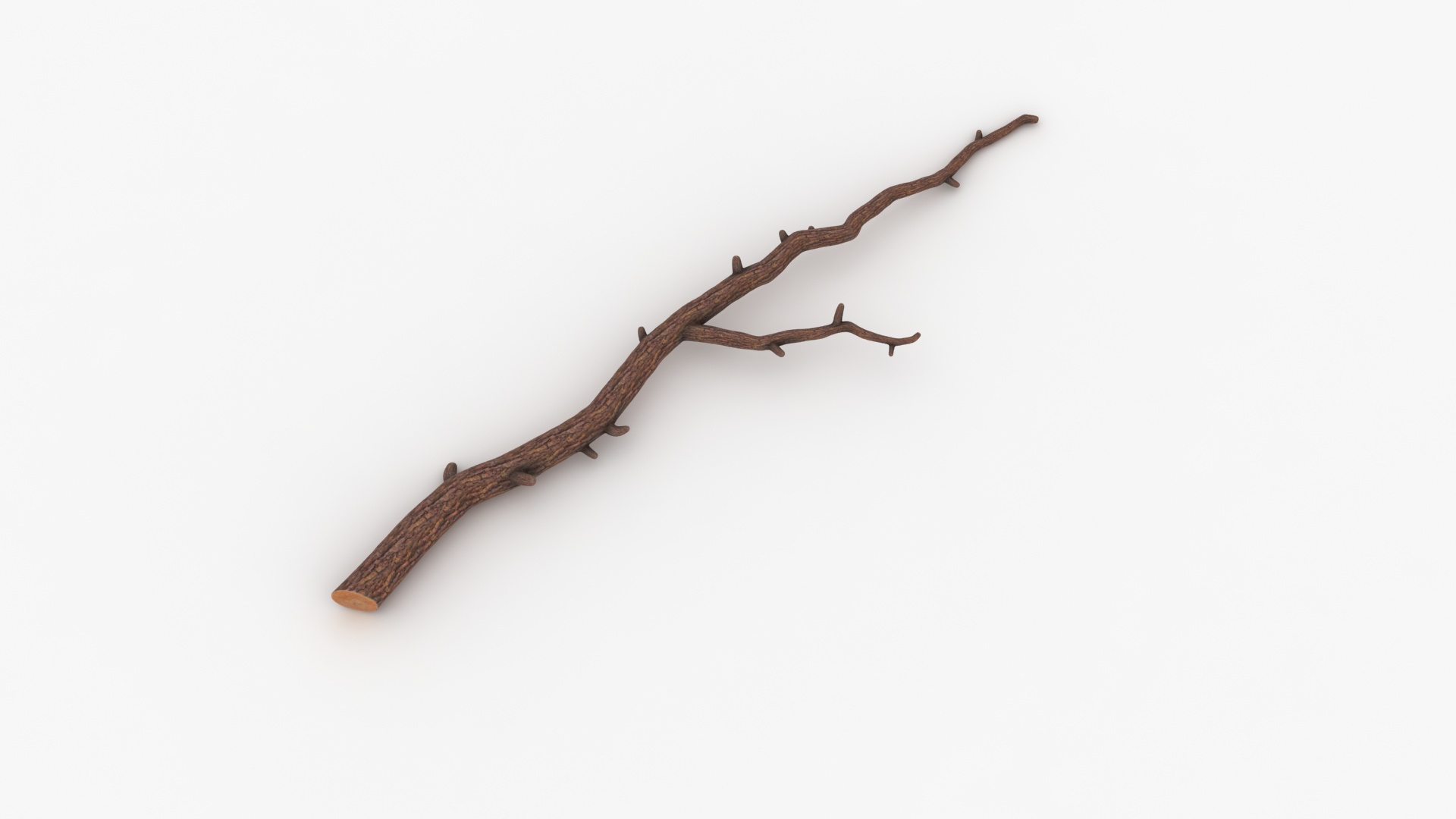 3D branch scanline ready https://p.turbosquid.com/ts-thumb/mg/KgT2v7/WLWZZsnW/branch01_specular/jpg/1588399135/1920x1080/turn_fit_q99/00788c81beb1631d6b5d35eaa384d073cd45b58b/branch01_specular-1.jpg