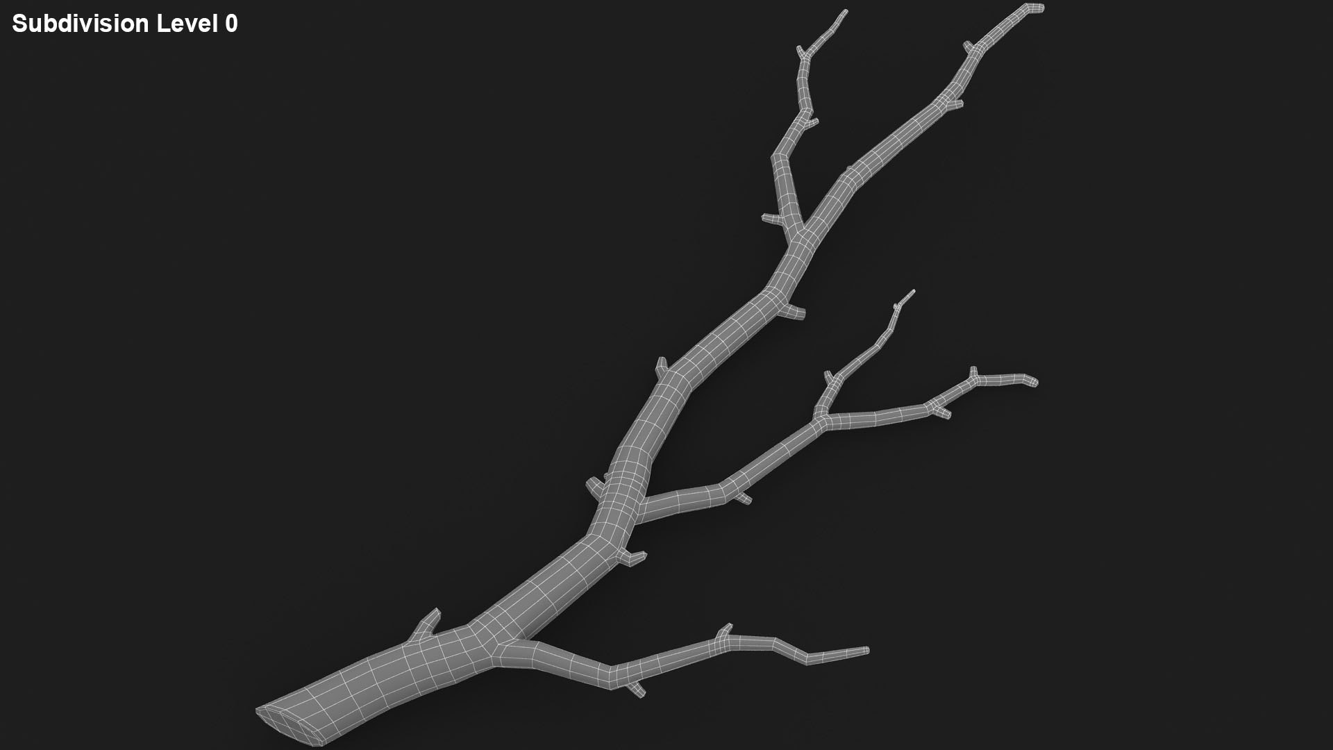 3D branch scanline ready https://p.turbosquid.com/ts-thumb/mg/KgT2v7/bv0RQpTp/lemon_rr_30/jpg/1588523669/1920x1080/fit_q87/985758b4736bf49c26aa214640c32ac021677158/lemon_rr_30.jpg