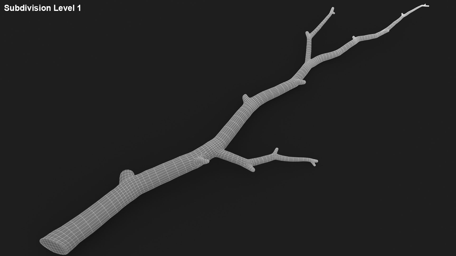 3D branch scanline ready https://p.turbosquid.com/ts-thumb/mg/KgT2v7/fL5Xc6fp/lemon_rr_31/jpg/1588523703/1920x1080/fit_q87/82d73488f21290314f55ed588f9bab675a055eeb/lemon_rr_31.jpg