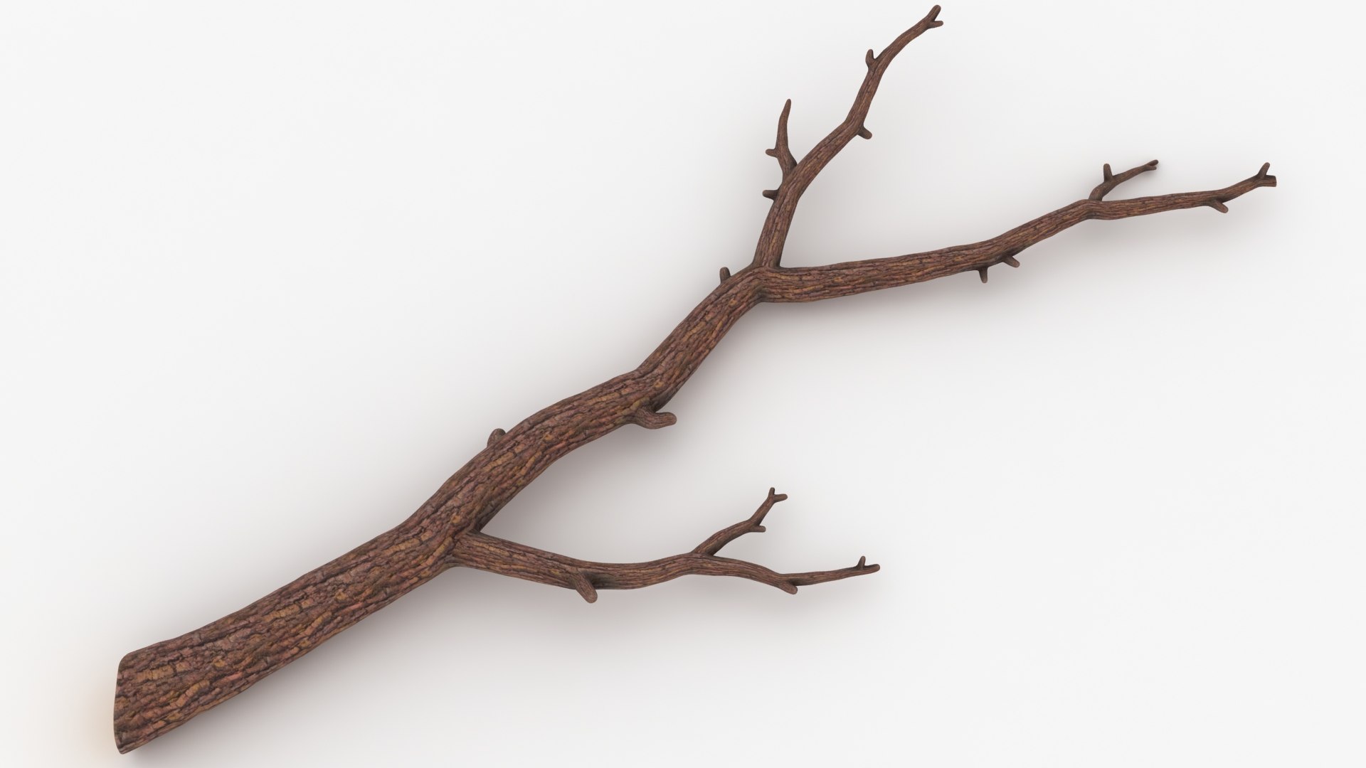 3D branch scanline ready https://p.turbosquid.com/ts-thumb/mg/KgT2v7/oC18l6RU/lemon_rr_01/jpg/1588523747/1920x1080/fit_q87/094869c50c43e7a9ff2f4db9111bd5fa9239985a/lemon_rr_01.jpg