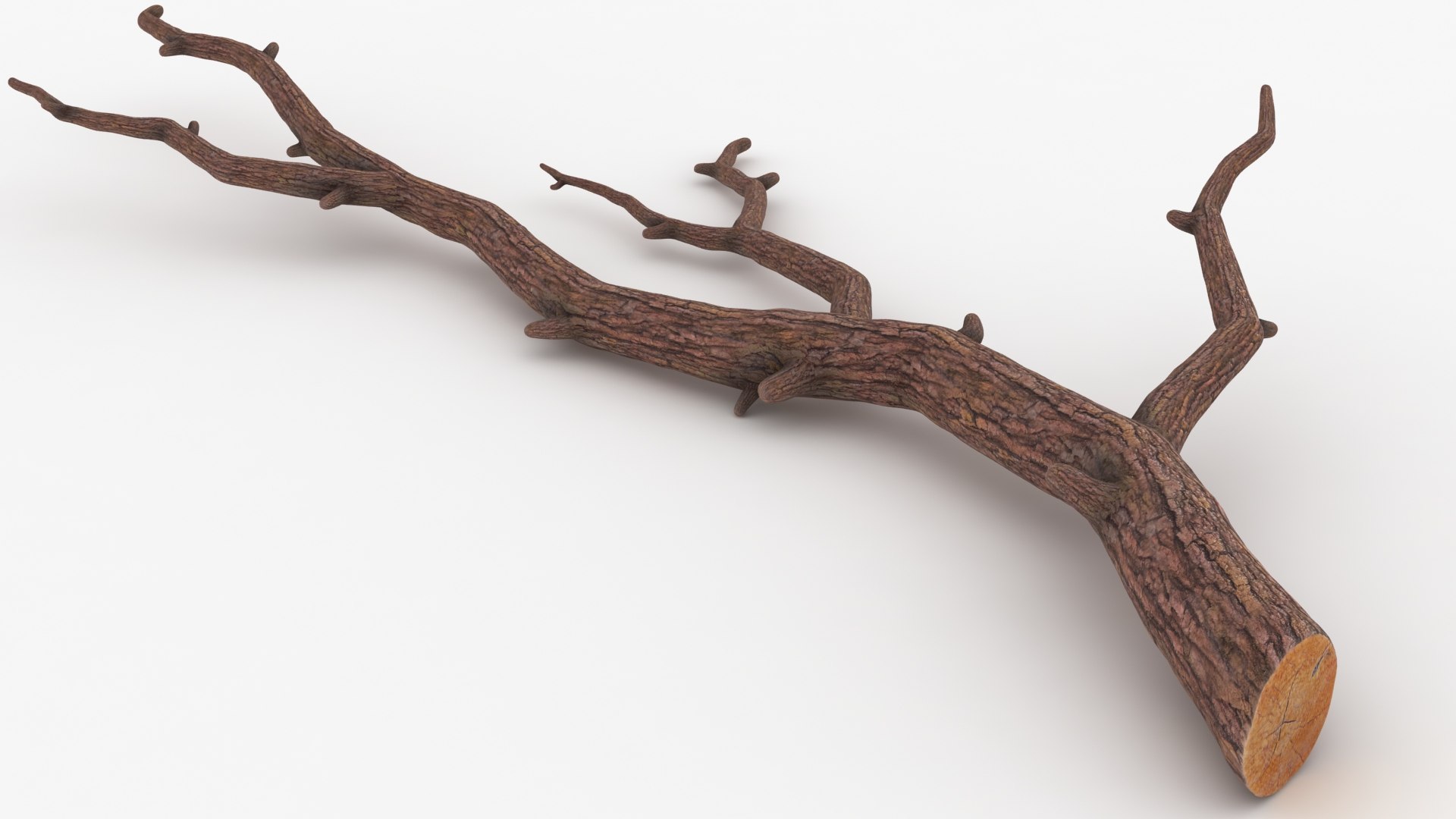3D branch scanline ready https://p.turbosquid.com/ts-thumb/mg/KgT2v7/wZEZ6K8X/lemon_rr_04/jpg/1588523669/1920x1080/fit_q87/f63ced6c13a8cfd686204a04d880b54e3d396dff/lemon_rr_04.jpg