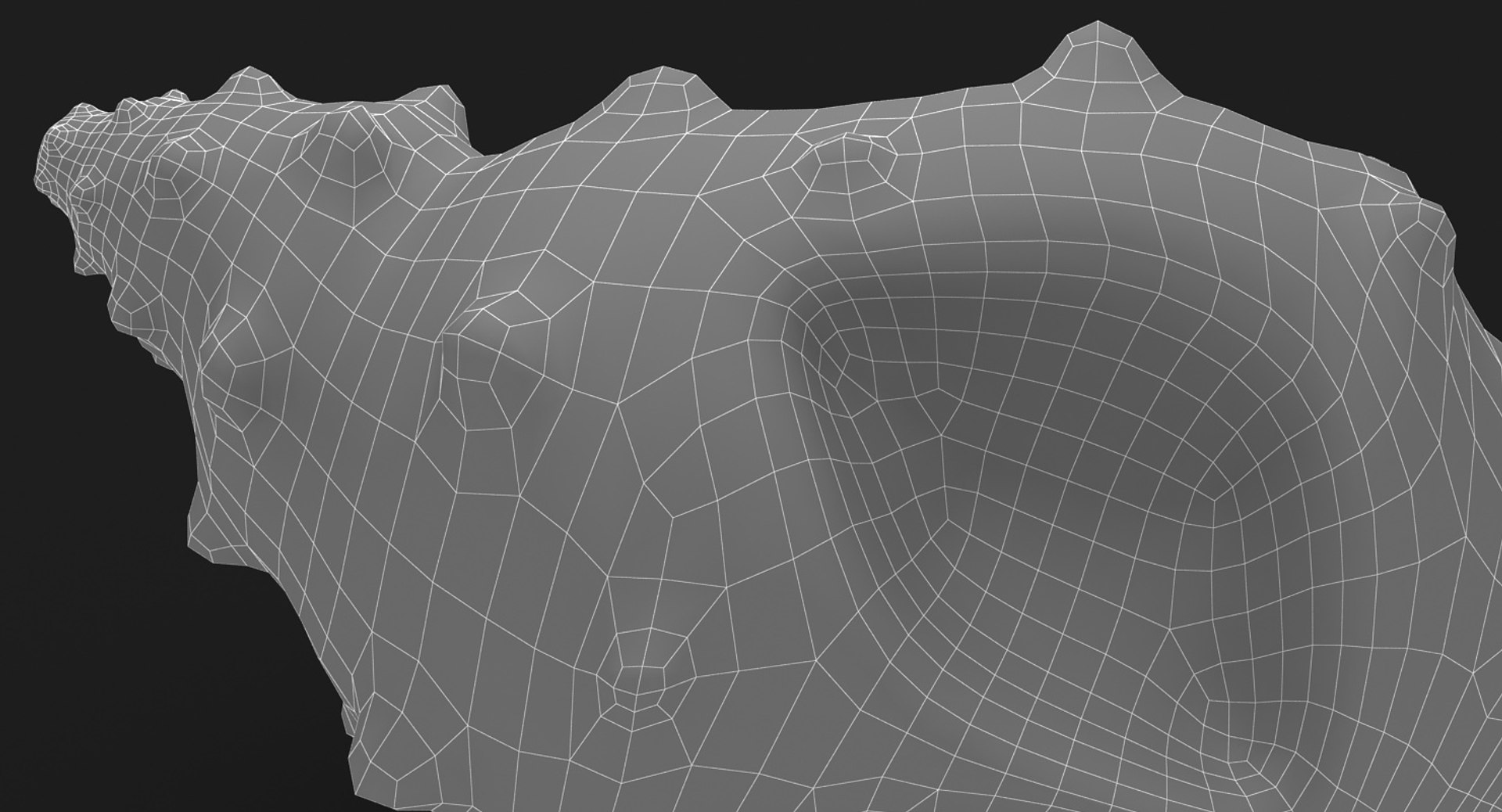 Realistic sea shell set 3D model - TurboSquid 1150992