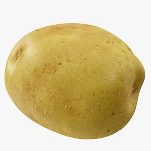 Potato 04 Hi Poly