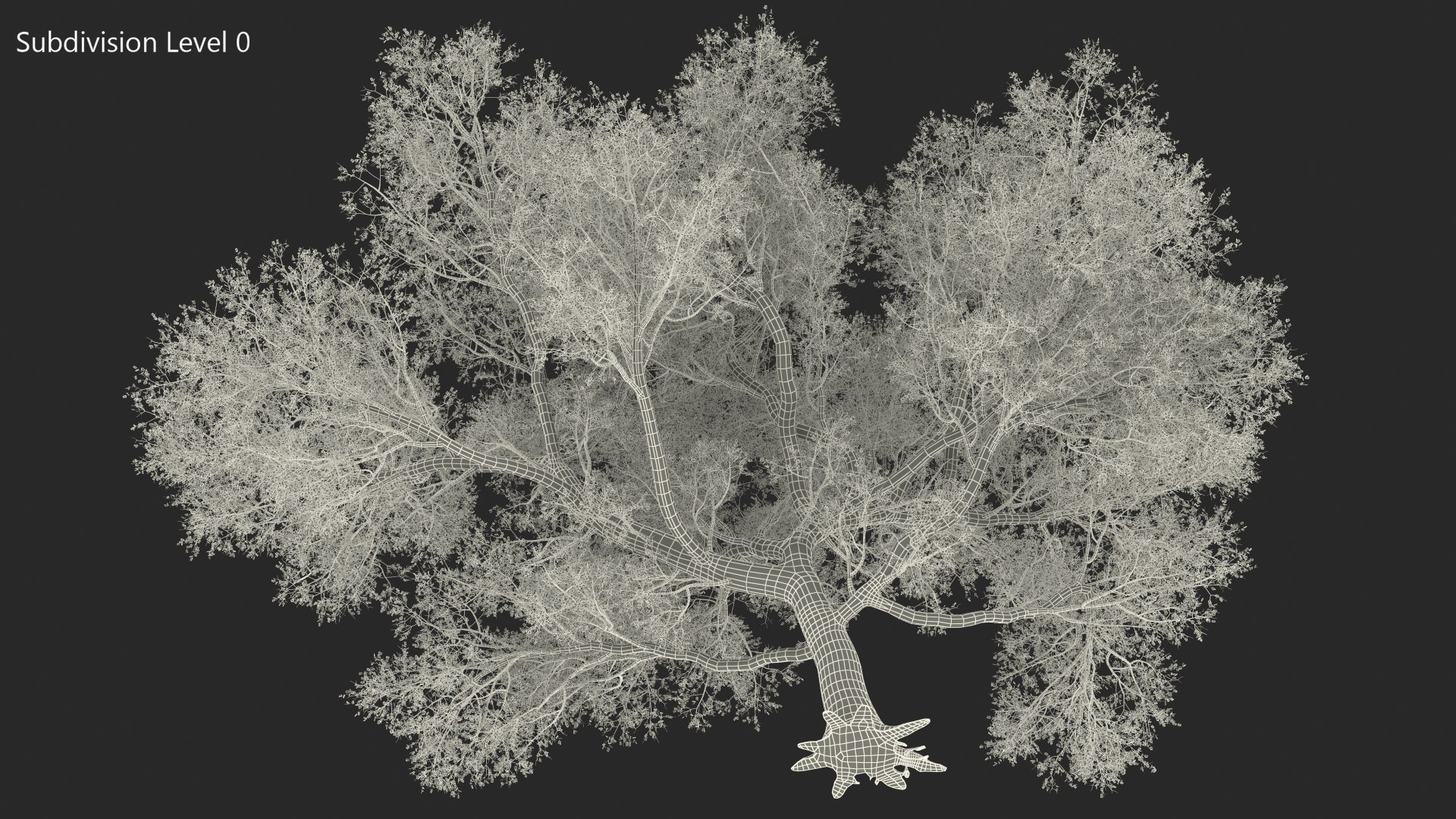 3D Green Tabebuia Avellanedae Tree https://p.turbosquid.com/ts-thumb/mg/ZLjflr/CV/greentabebuiaavellanedaetreevray3dmodel017/jpg/1620092626/1920x1080/fit_q87/11ec63c0c44b9cad8ffe34f14109d6a6c1c73c9f/greentabebuiaavellanedaetreevray3dmodel017.jpg