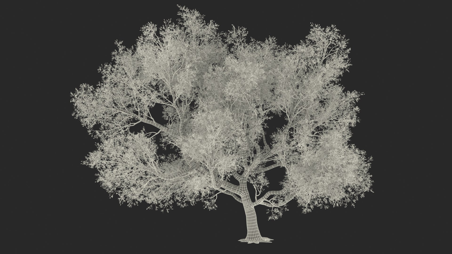 3D Green Tabebuia Avellanedae Tree https://p.turbosquid.com/ts-thumb/mg/ZLjflr/Ek/greentabebuiaavellanedaetreevray3dmodel025/jpg/1620092690/1920x1080/fit_q87/5efa1a7211ae5cb9feb00c25b55db330e1aa0b05/greentabebuiaavellanedaetreevray3dmodel025.jpg