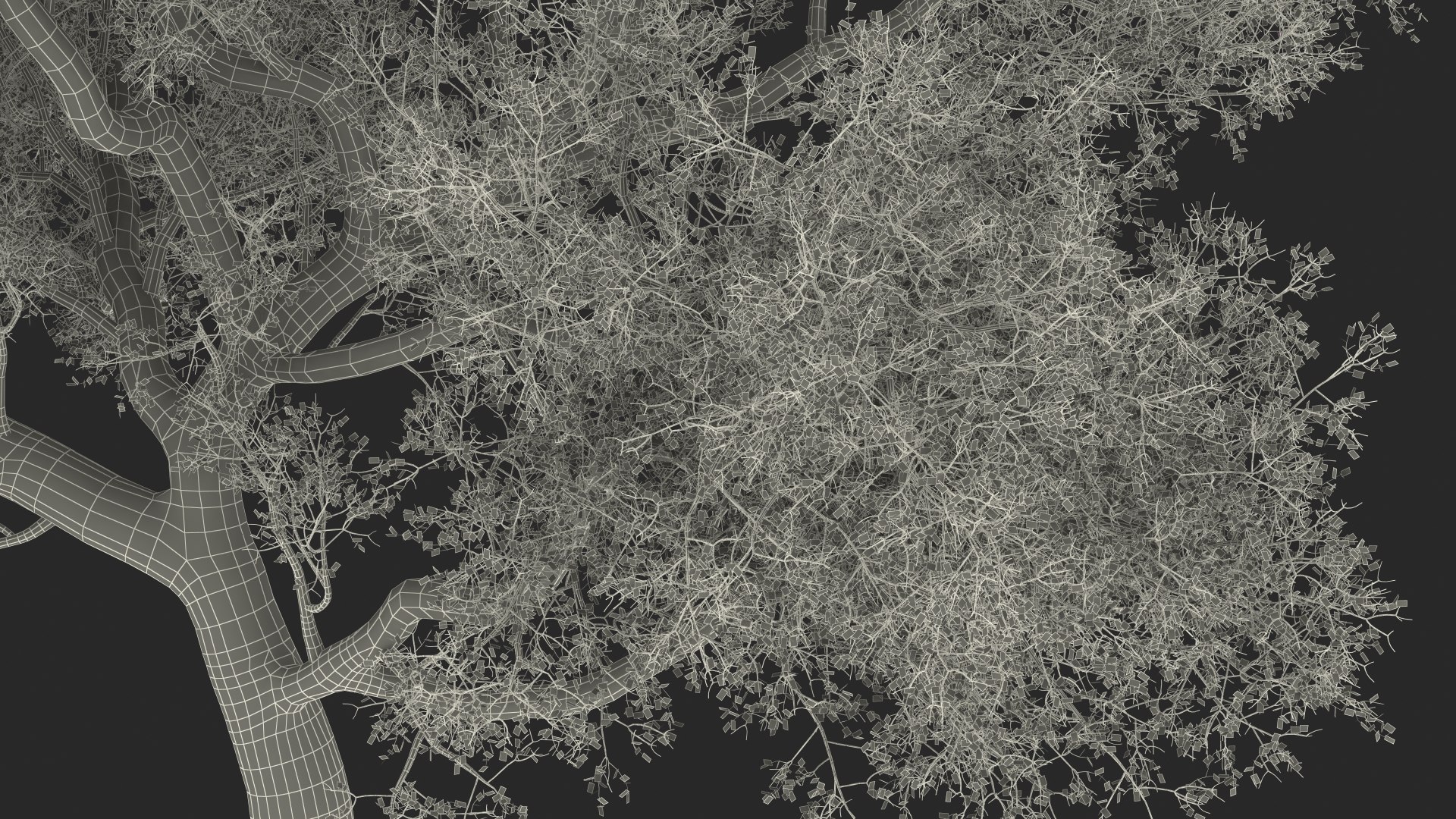 3D Green Tabebuia Avellanedae Tree https://p.turbosquid.com/ts-thumb/mg/ZLjflr/HD/greentabebuiaavellanedaetreevray3dmodel033/jpg/1620092745/1920x1080/fit_q87/e5cdd83976c4b1a4af770dbcd5ac2df414da060f/greentabebuiaavellanedaetreevray3dmodel033.jpg