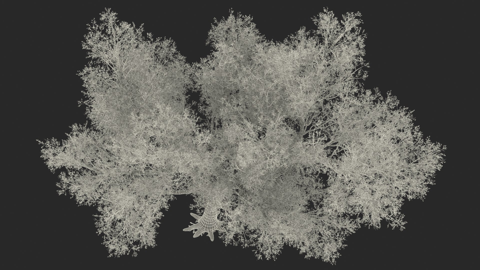 3D Green Tabebuia Avellanedae Tree https://p.turbosquid.com/ts-thumb/mg/ZLjflr/JA/greentabebuiaavellanedaetreevray3dmodel029/jpg/1620092716/1920x1080/fit_q87/9c2a3b005c8f8c7e89a29843a128a990f0268ca0/greentabebuiaavellanedaetreevray3dmodel029.jpg