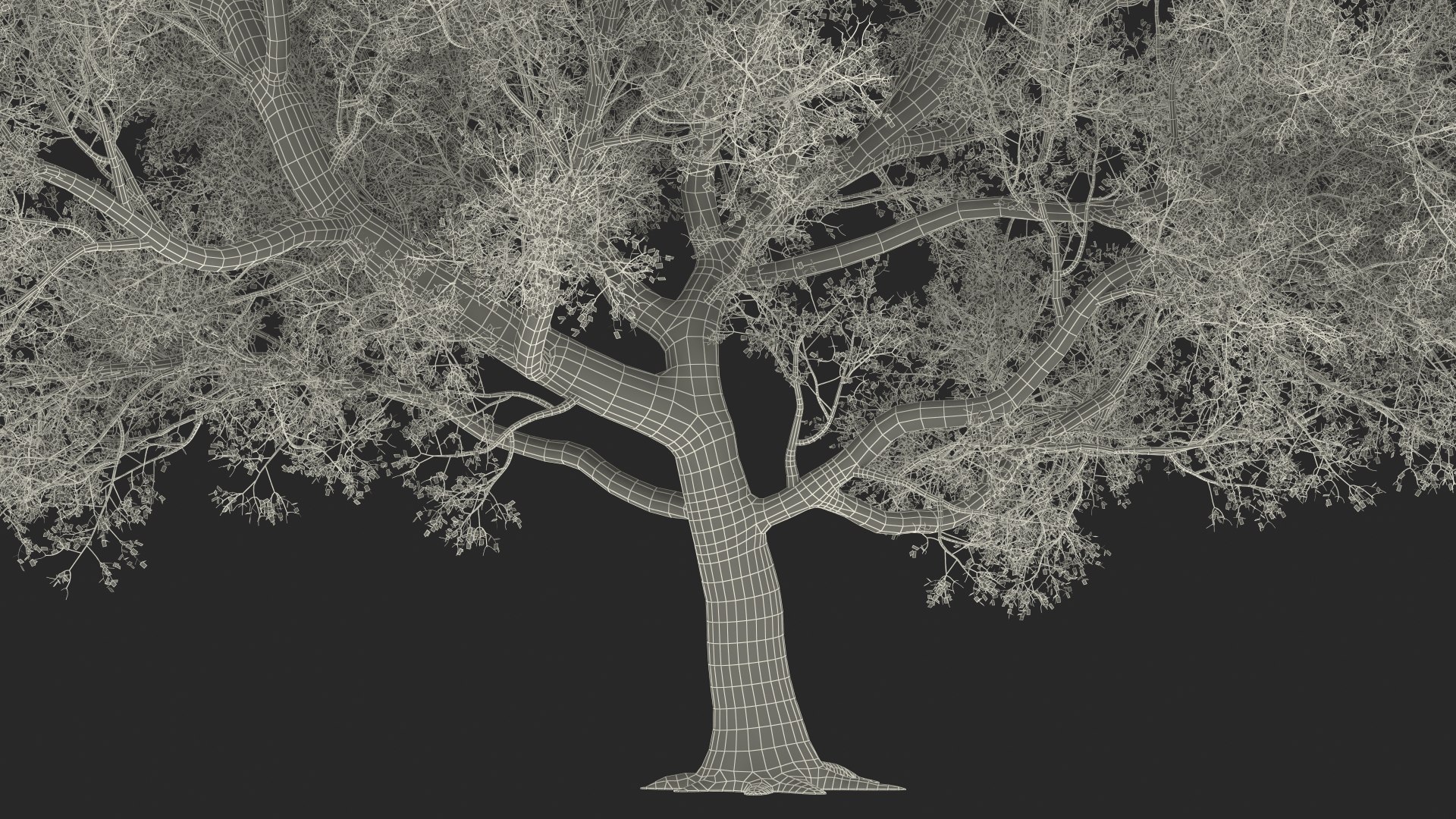 3D Green Tabebuia Avellanedae Tree https://p.turbosquid.com/ts-thumb/mg/ZLjflr/RS/greentabebuiaavellanedaetreevray3dmodel027/jpg/1620092703/1920x1080/fit_q87/4a99648cb3ef3784a6754d570d47689d5b5d2be9/greentabebuiaavellanedaetreevray3dmodel027.jpg