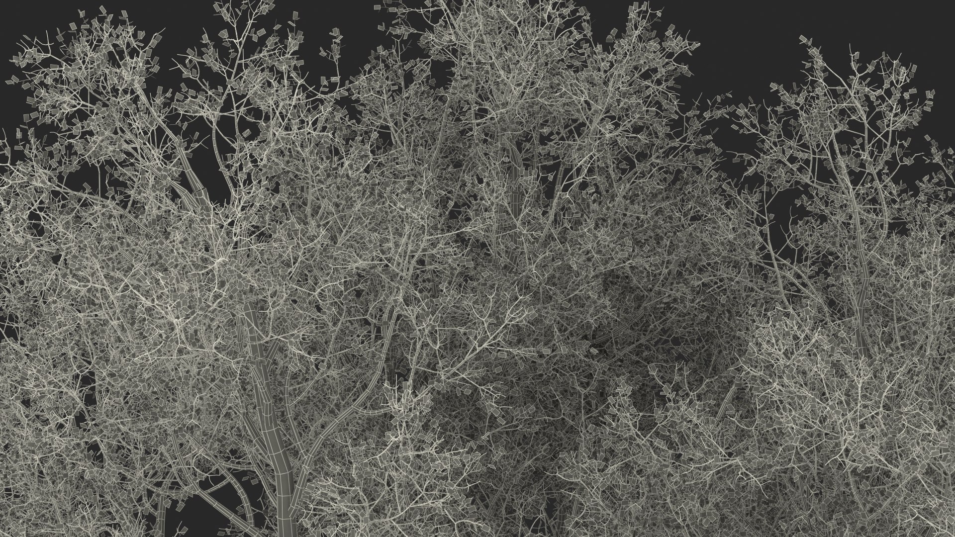 3D Green Tabebuia Avellanedae Tree https://p.turbosquid.com/ts-thumb/mg/ZLjflr/Xq/greentabebuiaavellanedaetreevray3dmodel031/jpg/1620092731/1920x1080/fit_q87/cd6c20183957aaabf2188ce8e67bc8affacdfff7/greentabebuiaavellanedaetreevray3dmodel031.jpg