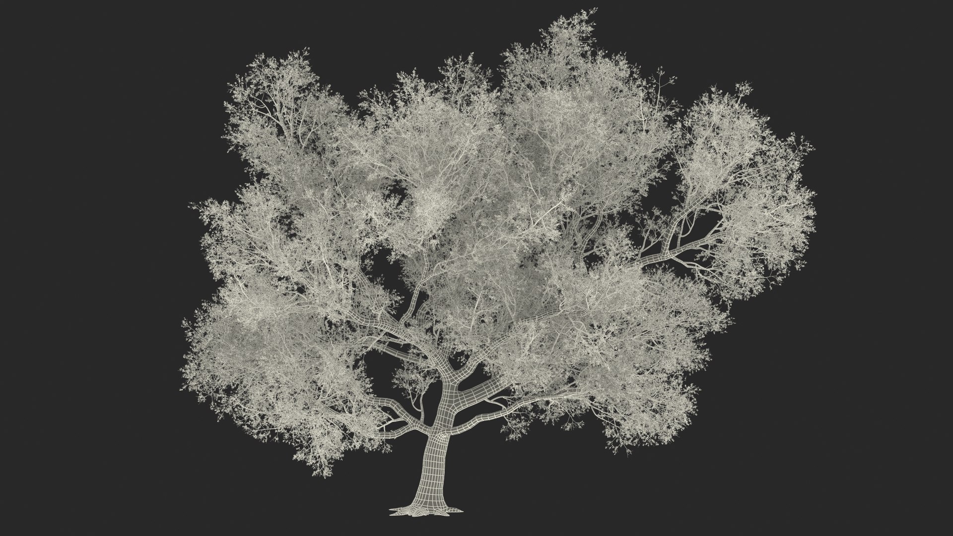 3D Green Tabebuia Avellanedae Tree https://p.turbosquid.com/ts-thumb/mg/ZLjflr/bq/greentabebuiaavellanedaetreevray3dmodel026/jpg/1620092696/1920x1080/fit_q87/c4b21984cfa63201b8d651fa149dd8181906b6f1/greentabebuiaavellanedaetreevray3dmodel026.jpg