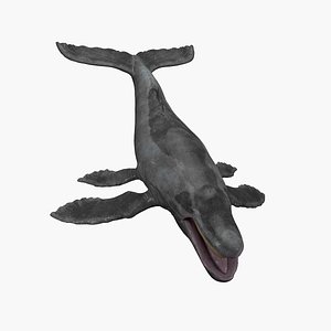 Gentle Whale 3D