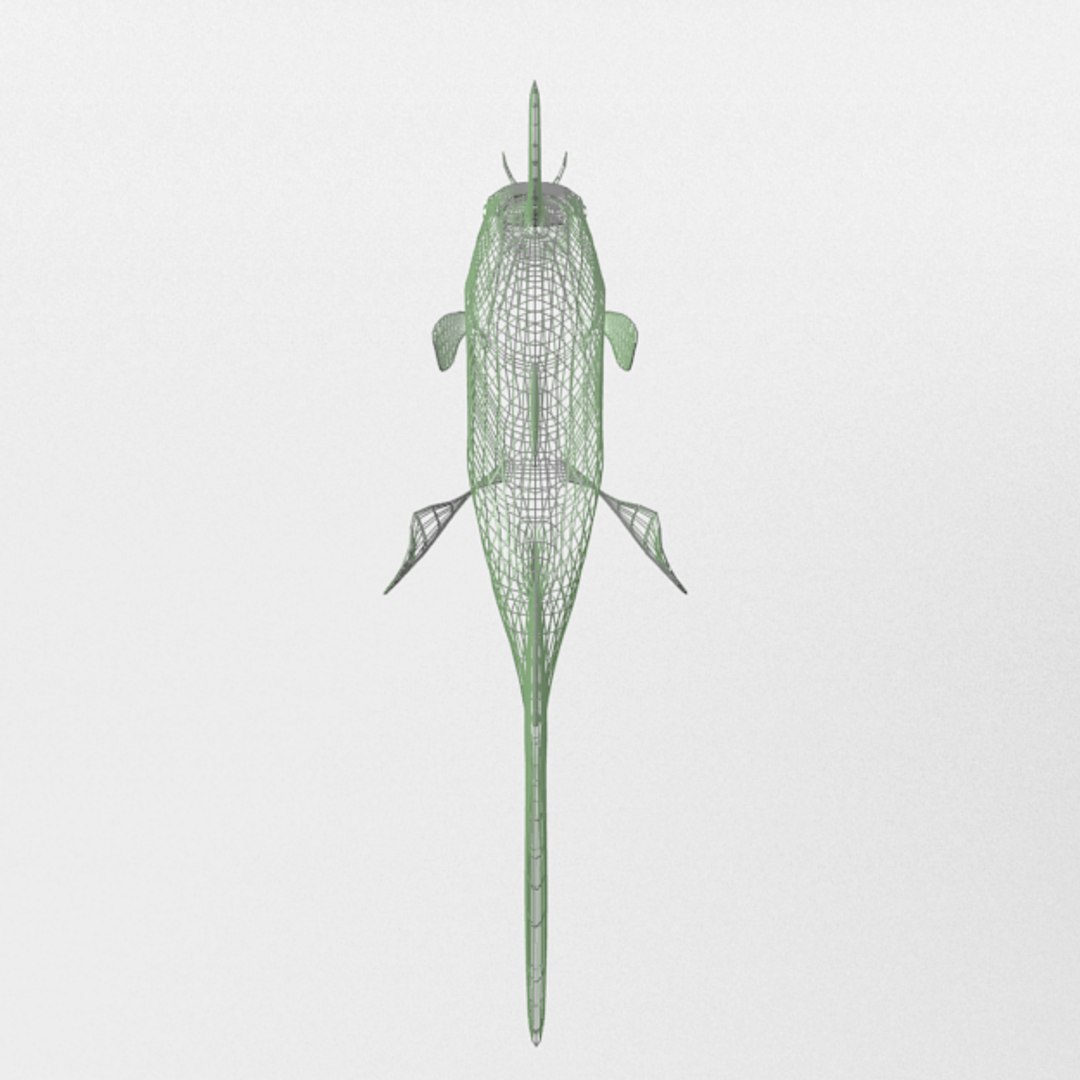 fish cat catfish 3D https://p.turbosquid.com/ts-thumb/mg/cQx9gh/tDG9gYlv/catfish_realistic_back_wire/png/1533917178/1920x1080/fit_q87/1f2fdad5dbaf3e674974a0485d7b30a1f4baaf70/catfish_realistic_back_wire.jpg
