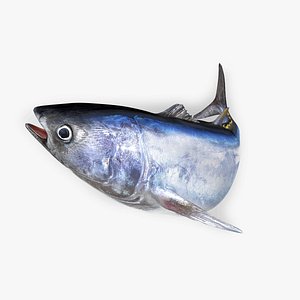 TUNA FISH Rigged L1548