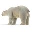 polar bear fur max