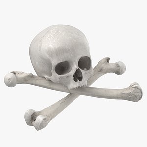 3D pirate skull bones compostion