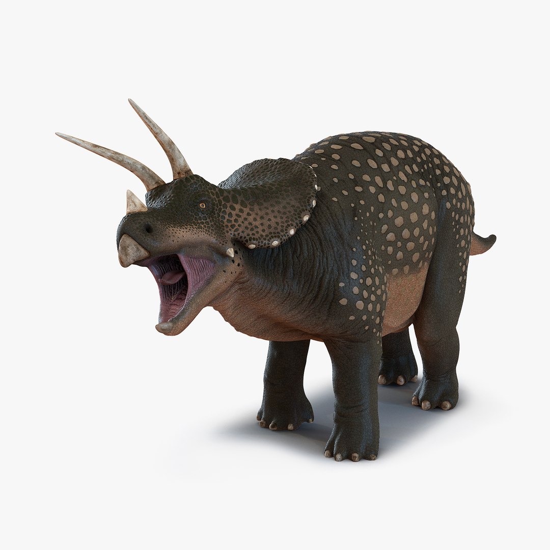 Triceratops Rigged 3D model preview