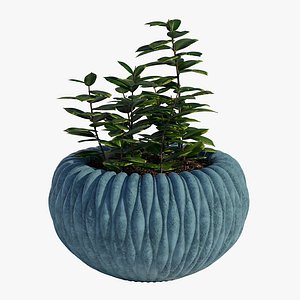 3D model fluo 42x24