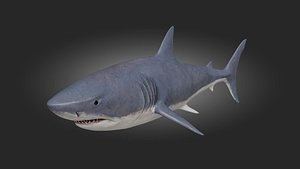 3D PBR High Quality Shark 3D Model model