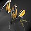3d Praying Mantis Robot Model