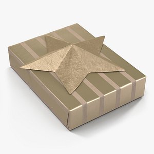 3d present 3 model