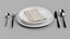 Plates Cutlery and with Napkin 3D