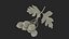 Hawthorn Berry Branch Fur 3D