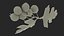 Hawthorn Berry Branch Fur 3D