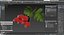 Hawthorn Berry Branch Fur 3D